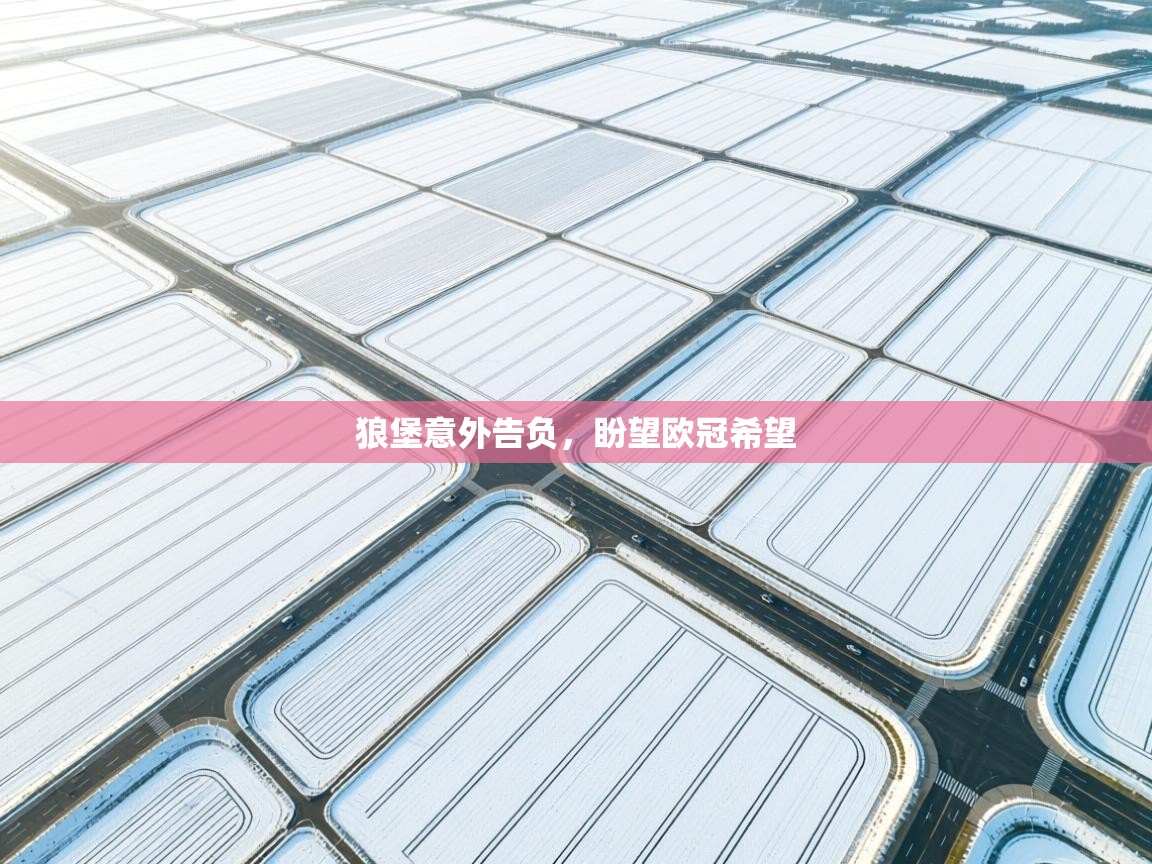 狼堡意外告负，盼望欧冠希望  第2张