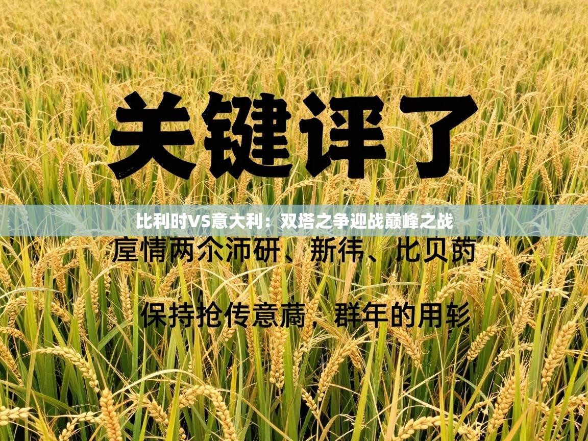 比利时VS意大利：双塔之争迎战巅峰之战  第2张