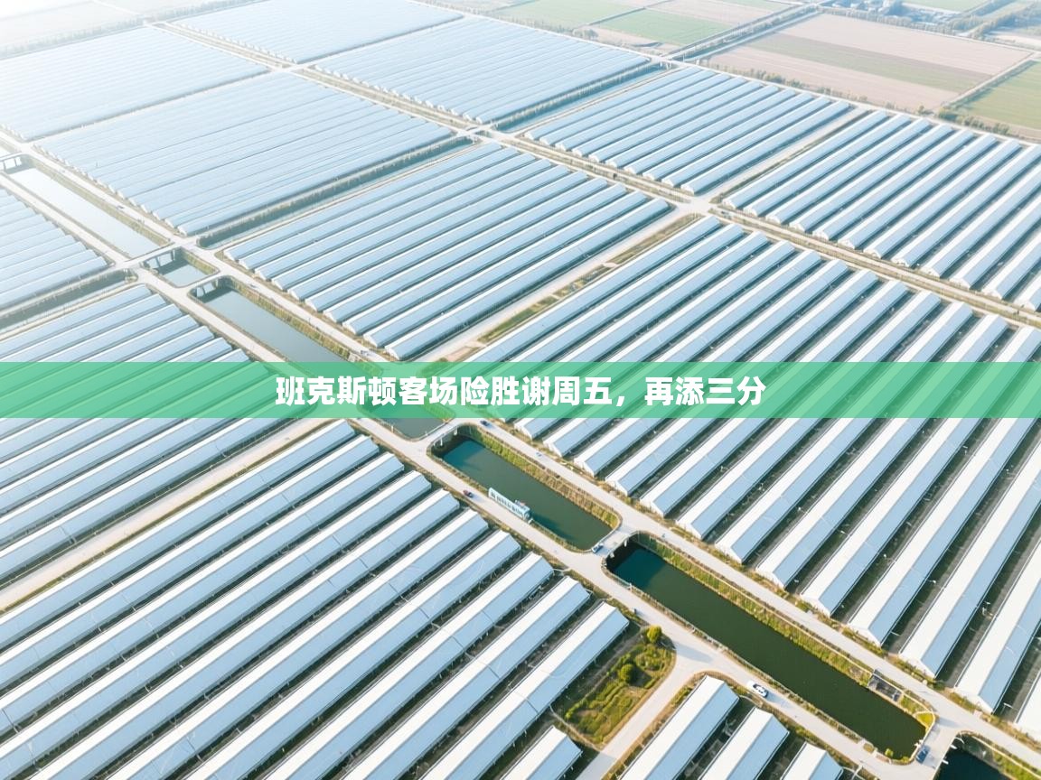 班克斯顿客场险胜谢周五，再添三分  第2张